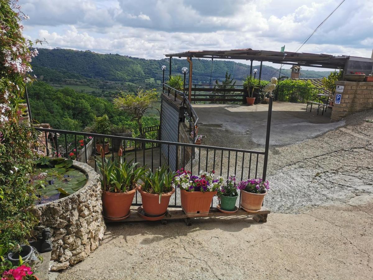 Francigena Sul Lago Montefiascone Bagian luar foto
